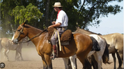 Saddle Up: Finding my inner Gaucho in the Argentine Pampas