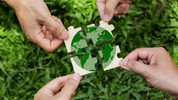 88% of Companies See Sustainability as a Long-Term Value Driver, Morgan Stanley Report