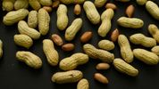 Feeding babies peanuts early and often helped 60,000 kids avoid allergies