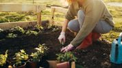 Why gardening is great exercise for both body and mind