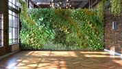 Using bioreceptive concrete to make moss walls