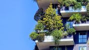 How high-rise forests can transform city life – and make us happier