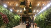 A Terminal in a Garden: Redefining Green Aviation at T2