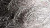 Grey hairs grow when your body shuts down cancer-prone cells, study suggests