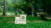 Supporting Small Businesses and Why Sustainability Adds Value