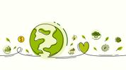 Circularity is our future