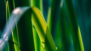 7 Critical Sustainability Conversations Happening in June