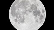 Will future missions to the Moon be sustainable? It may depend on whom you ask