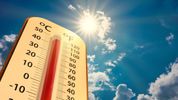 Rising Temperatures Are Called 'Stupid Hot' For a Reason