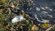 Dutch Ocean Cleanup Team Targets LA Rivers Ahead of the 2028 Olympics