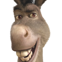 Donkey D, QA & Testing Blog