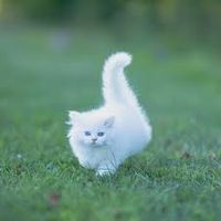 Post contributor:Jasmine Carter, Test Client KP