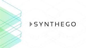 Park Square Recruits Product Leadership Team for Synthego