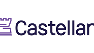 Park Square Places Annie Asrari as Vice President of Product at Castellan Solutions
