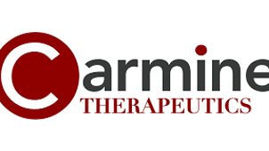 Park Square Places Qin Yu, Ph.D., as Vice President, Discovery at Carmine Therapeutics