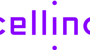 Cellino Announces Appointment of Abhijit Kulkarni, Ph.D. as Chief Operating Officer and Paulette Dillon as Chief Business Officer