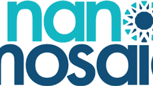 Park Square places Vice President, Sales at NanoMosaic