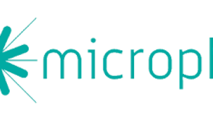 Park Square Places Stefan Wypyszyk as Chief Commercial Officer at Microphyt.