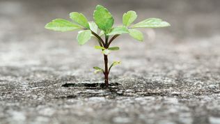 How to become more resilient