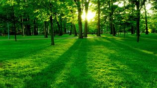 Clarity of Thought: How advisers can help make better decisions