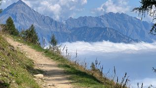 Navigating the Corporate Wilderness: Lessons from Leading Through the Unknown