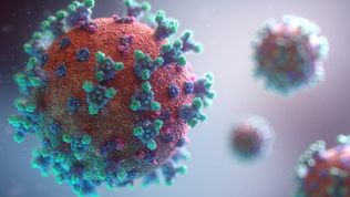 Leadership in the coronavirus crisis