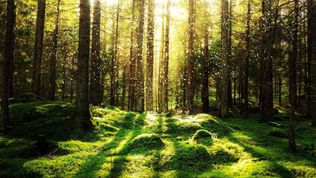 The Health Benefits of Getting Outside