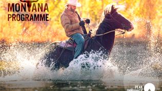 NEW! The Montana Programme