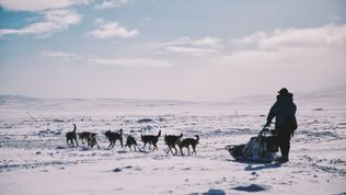 Have you ever been to the Arctic? Experience something amazing
