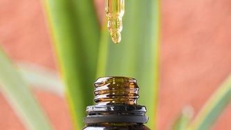 Rozhodnutie Súdneho dvora EÚ o obmedzení dovozu CBD medzi členskými štátmi