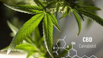 Sale and advertising of CBD products in Slovakia