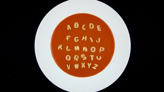 CDAFA: What Is It And Why Now?