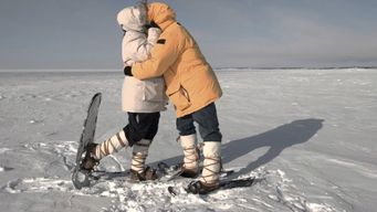 Tinder Matches In Antarctica