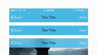 The iOS Design Guidelines