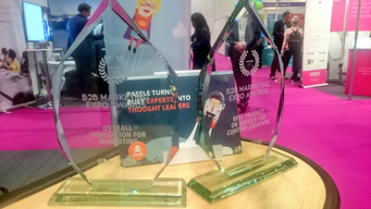 Passle wins two B2B Marketing Awards
