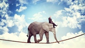 Inclusion and Engagement The Key To Role Model Leadership For The Future