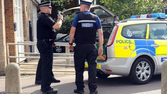 Man refused overdraft extension is Tasered by police after brandishing a flamethrower