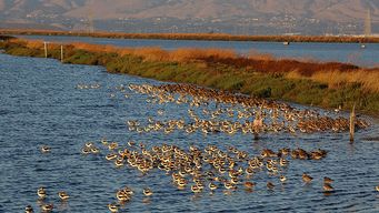 Ladder secures $14m Series A funding