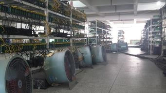 Inside a Chinese Bitcoin Mine