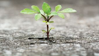 How to become more resilient