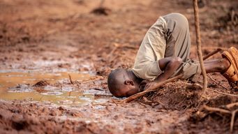 When a picture is truly worth a thousand words -  Environmental Photographer of the Year 2019
