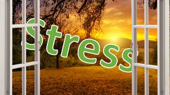 Re-Framing Stress