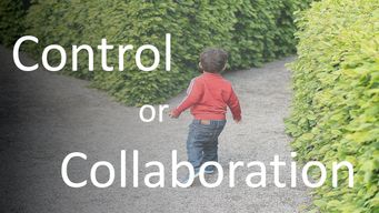 Which Path Of Evolution Should You Choose? – A Behavioural Coach’s Perspective