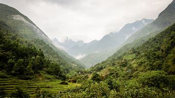 Uber Signs First Southeast Asian e-Wallet Deal With Vietnam's MoMo