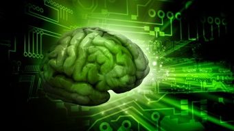 omni:us secures new investment for AI-based insurance solutions