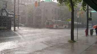 Donor-advised funds look positioned to meet “rainy day” promise
