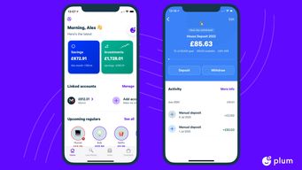 European money management app raised $10m