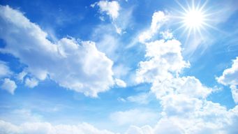 Stripe Climate is a new tool to let customers make carbon removal purchases
