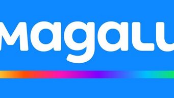 Brazil’s retail giant Magalu receives CADE, Central Bank approvals to acquire ‘Hub Fintech’