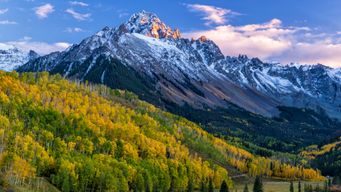 Colorado DMV taps PayPal to facilitate crypto payments